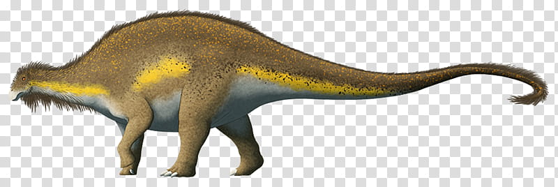 Velociraptor, Tyrannosaurus Rex, Dinosaur, Sauropods, Brachytrachelopan, Spinosaurus, Reptile, Drawing transparent background PNG clipart