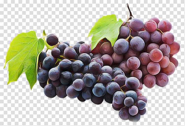 grape fruit natural foods seedless fruit grapevine family, Plant, Vitis, Superfood, Grape Leaves, Tree, Grape Seed Extract, Berry transparent background PNG clipart
