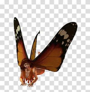 Fairy summer transparent background PNG clipart thumbnail