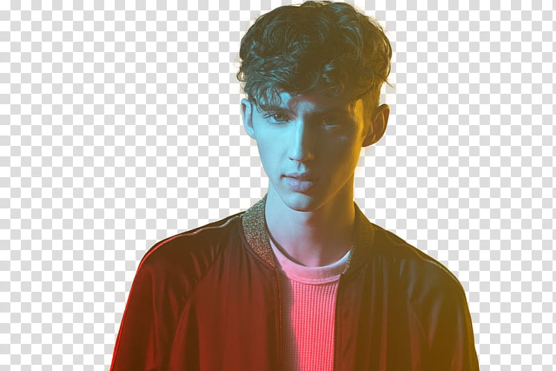 Troye Sivan transparent background PNG clipart