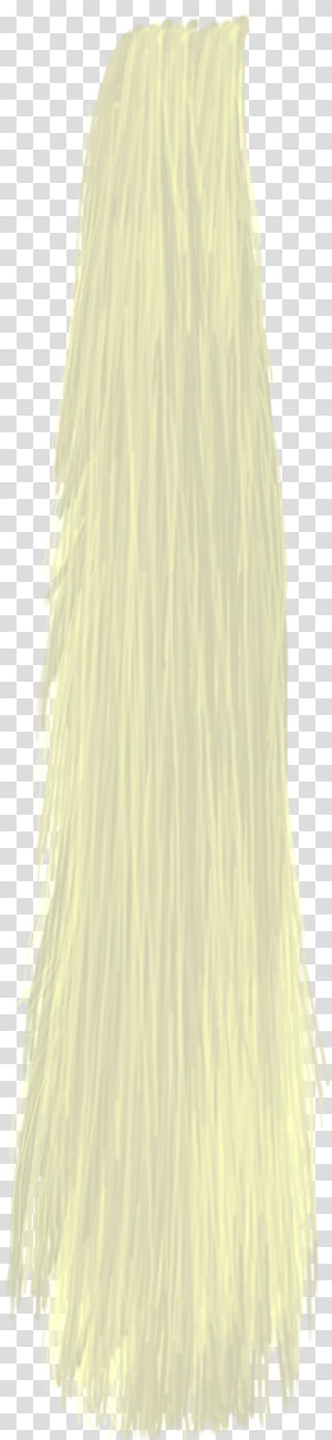 Hair 01 transparent background PNG clipart thumbnail