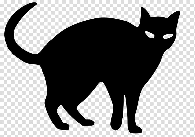 Halloween  s, black cat illustration transparent background PNG clipart