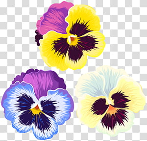 Purple Watercolor Flower, Decorative Corners, Violet, Pansy, Watercolor Painting, Drawing, Floral Design,  Cartoon transparent background PNG clipart thumbnail
