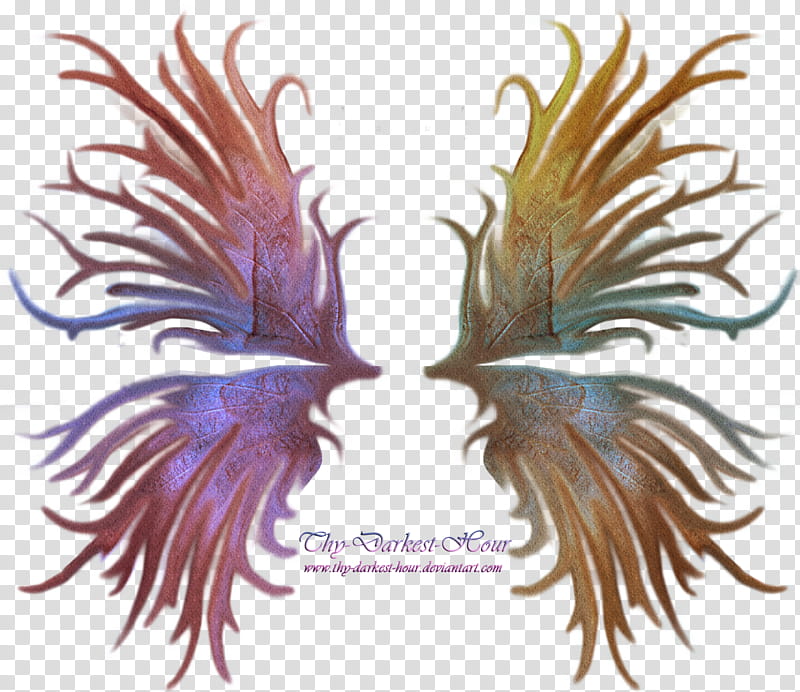 Frilled Fairy Wings , purple and orange wing transparent background PNG clipart