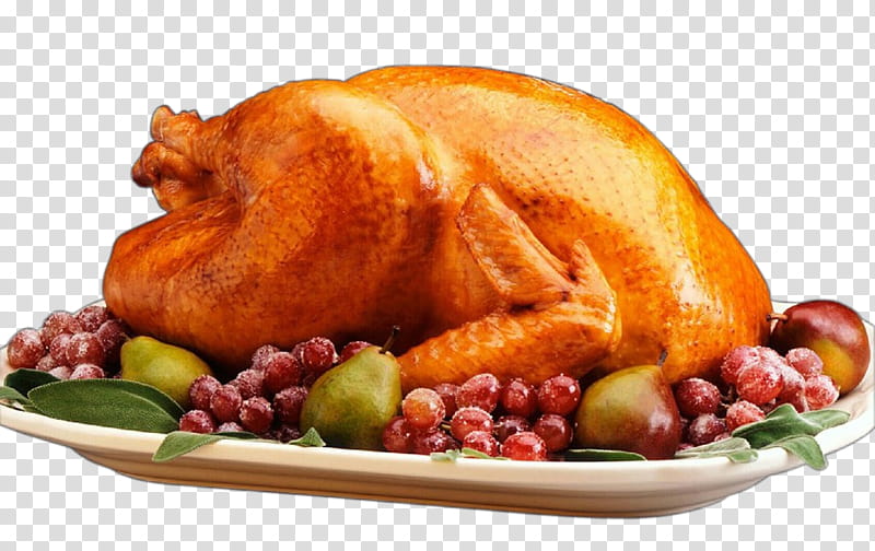 cartoon cooked thanksgiving turkey