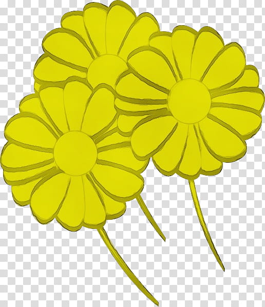 yellow flower petal english marigold plant, Watercolor, Paint, Wet Ink, Cut Flowers, Chamomile, Flowering Plant transparent background PNG clipart