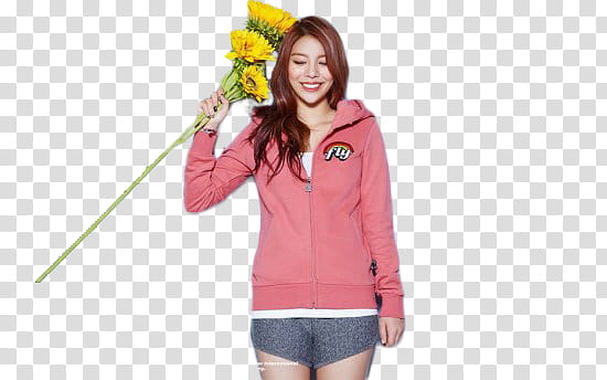 Ailee transparent background PNG clipart