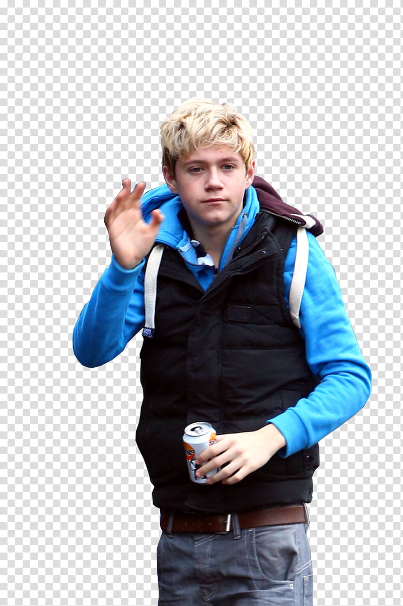 Niall Horan transparent background PNG clipart | HiClipart