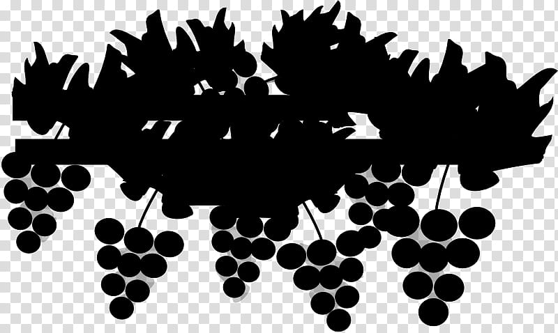 Drawing Of Family, Grape, Common Grape Vine, Grape Leaves, Wine, Leaf, Grapevines, Grapevine Family transparent background PNG clipart