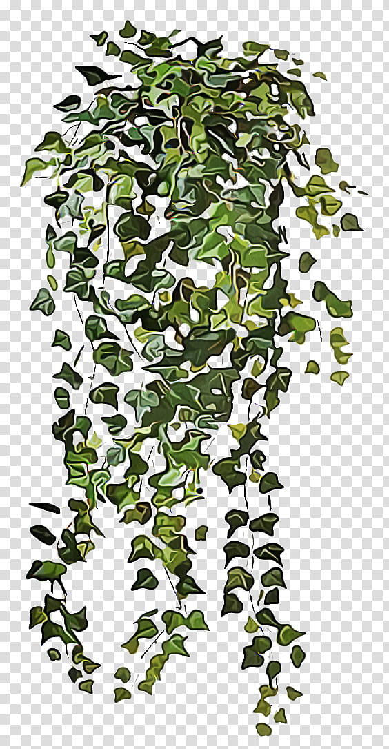 Ivy, Tree, Plant, Leaf, Flower, Woody Plant, Plant Stem, Flowering Plant transparent background PNG clipart