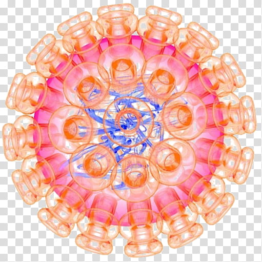 Pink, Herpes Simplex Virus, Herpes Labialis, , Herpesviruses, Human Herpesvirus 5, Skin Ulcer, Capsid transparent background PNG clipart