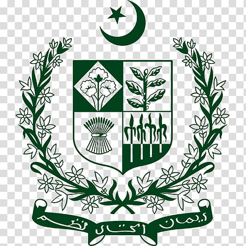 Flower Line Art, Government Of Pakistan, Balochistan Pakistan, Cabinet Of Pakistan, Government Of Balochistan Pakistan, Politics Of Pakistan, Ministry, Prime Minister transparent background PNG clipart