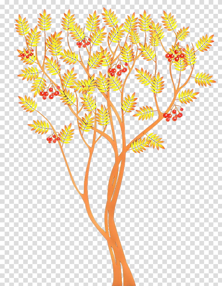 Flowers, Twig, Plants, Leaf, Tree, Cut Flowers, Petal, Plant Stem transparent background PNG clipart