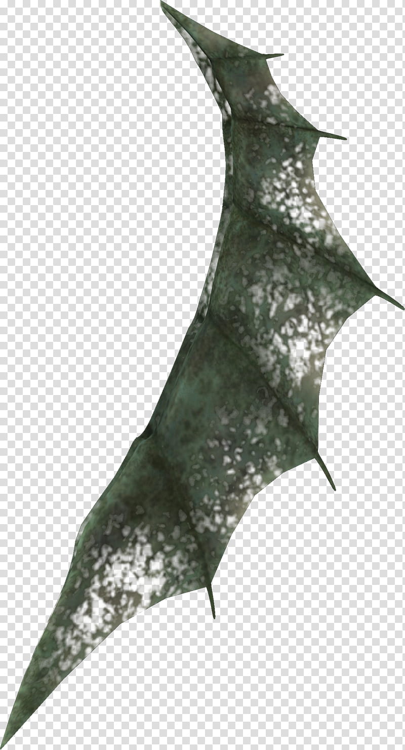 Fins, green-leafed illustration transparent background PNG clipart