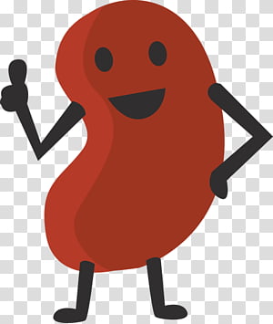 pinto bean clipart