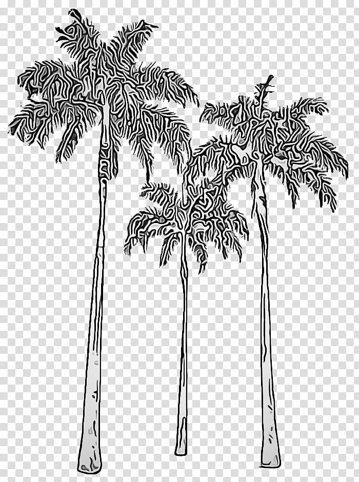 Palm tree, Plant, Arecales, Woody Plant, Blackandwhite, Leaf, Elaeis, Plant Stem transparent background PNG clipart
