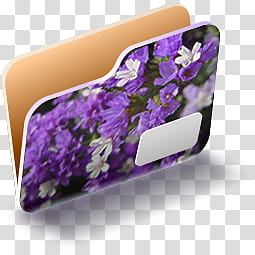 Graphic Folder Icons, PurpleFlowerIcon, purple petaled flower themed folder icon transparent background PNG clipart