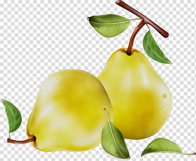 Tree Of Life, Pear, Still Life , Food, Superfood, Natural Foods, Apple, Fahrenheit transparent background PNG clipart