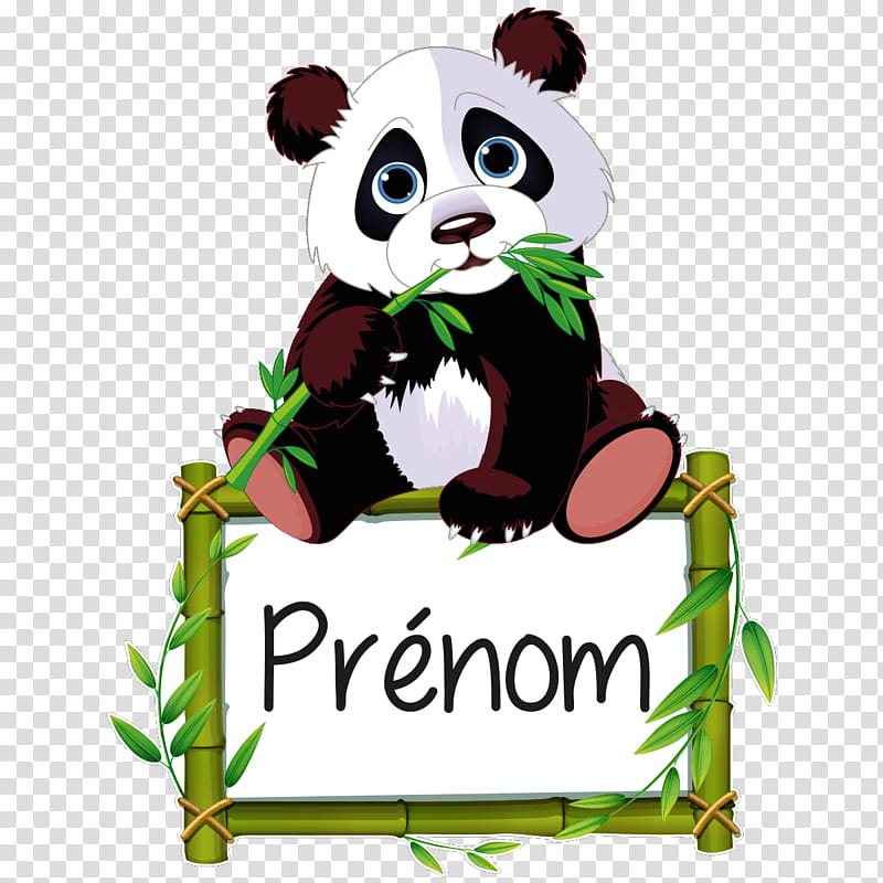 Bamboo, Giant Panda, Tshirt, Bear, Red Panda, Cuteness, Drawing, Green transparent background PNG clipart