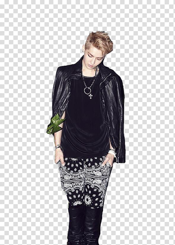 nd EXO Growl Ver transparent background PNG clipart