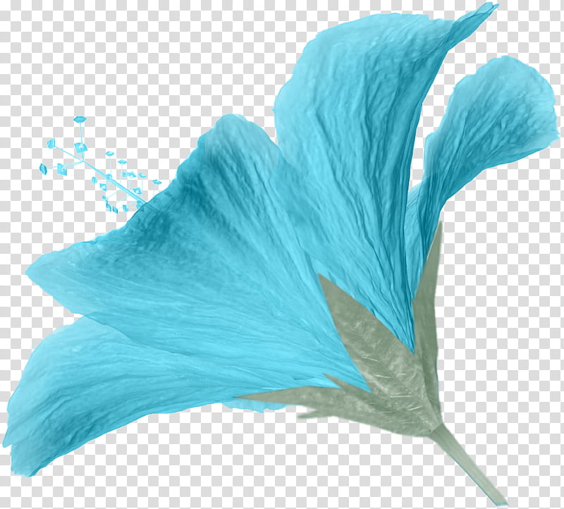 Sail Away Scrap Kit Freebie, blue hibiscus flower in transparent background PNG clipart