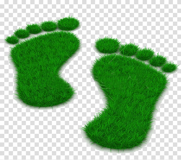 Green Grass, Metatarsophalangeal Joint Sprain, Foot, Toe, Podiatry, Ankle, Team, Podiatrist transparent background PNG clipart