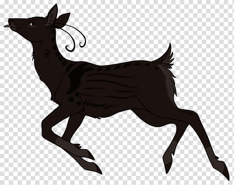 Animal, Reindeer, Mustang, Elk, Antelope, Wildlife, Horse, Chamois transparent background PNG clipart