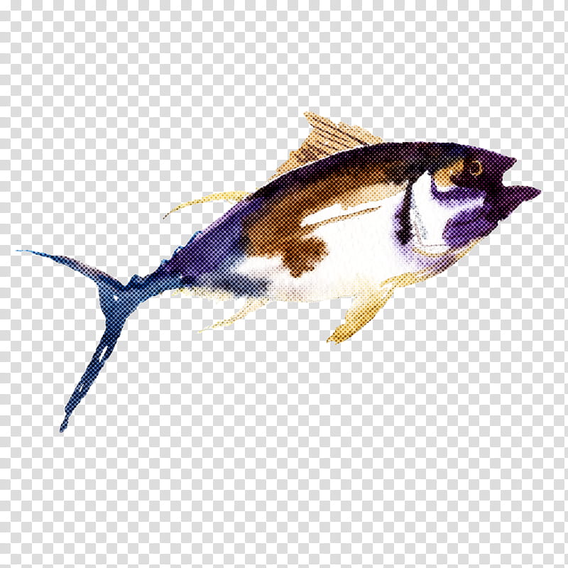 fish fish bony-fish, Bonyfish transparent background PNG clipart