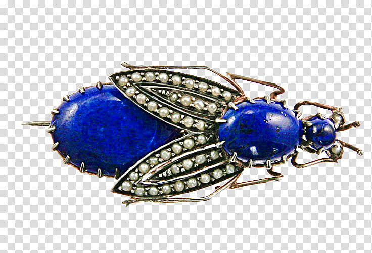 Insect Jewelry s, blue and clear gemstone encrusted silver-colored beetle brooch transparent background PNG clipart