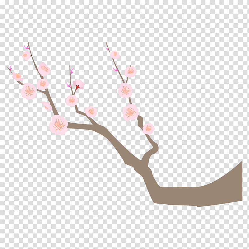 plum branch plum winter flower, Twig, Pink, Cherry Blossom, Plant, Bud transparent background PNG clipart