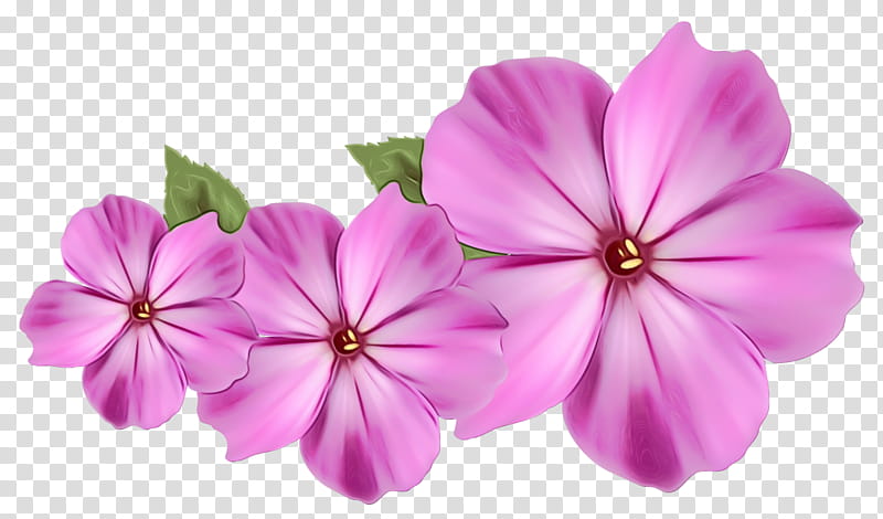 Purple Watercolor Flower, Paint, Wet Ink, Drawing, Digital Art, Animationrewind, Periwinkle, Petal transparent background PNG clipart
