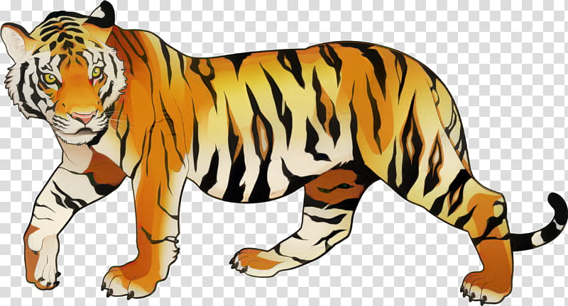 tiger in school clipart