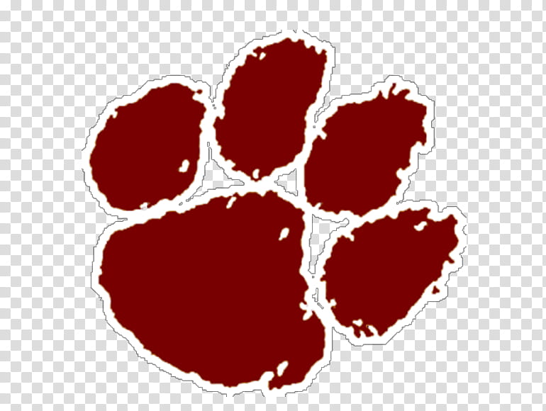 American Football, Clemson Tigers Football, Gardnerwebb Runnin Bulldogs Football, South Carolina Gamecocks Football, College Football, University, Sports, Clemson University transparent background PNG clipart