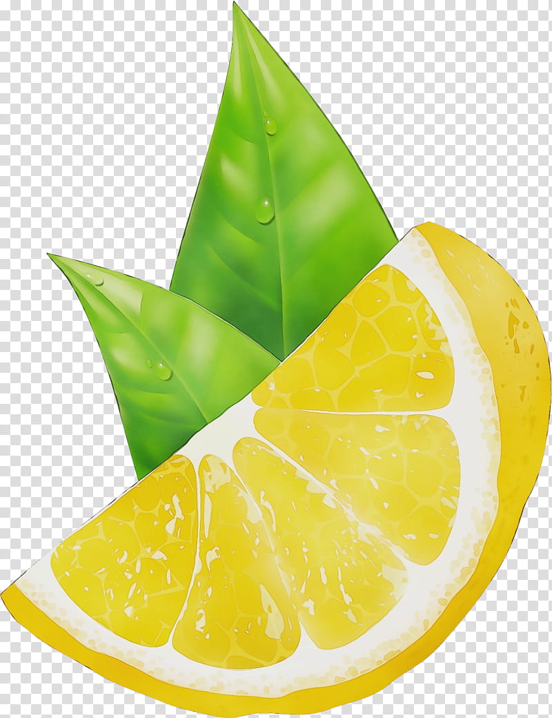 citrus lime key lime leaf yellow, Watercolor, Paint, Wet Ink, Persian Lime, Lemonlime, Fruit, Plant transparent background PNG clipart