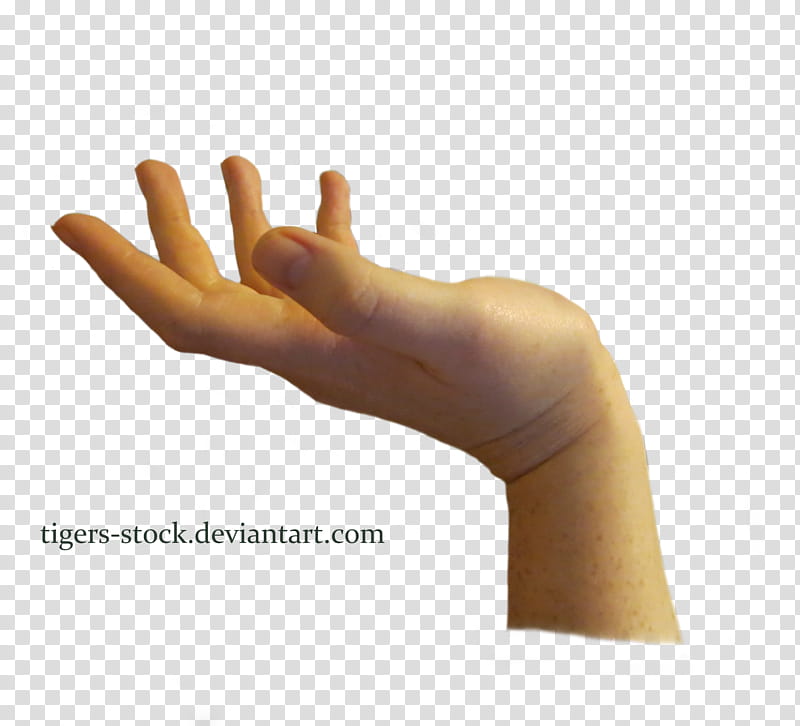 Hand, person left hand transparent background PNG clipart