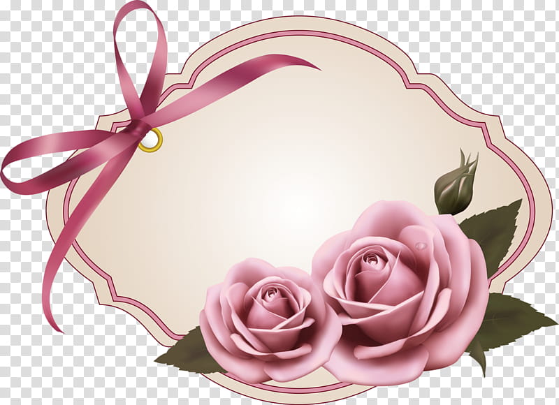 Pink Flower, Rose, Video, Frames, Advertising, Love, Garden, Rose Family transparent background PNG clipart