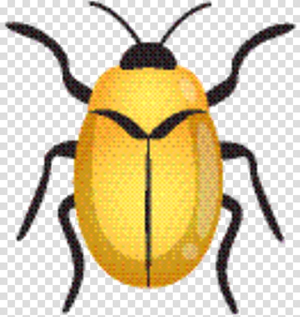 Leaf, Beetle, Pest, Scarab, Membrane, Animal, Insect, Yellow transparent background PNG clipart