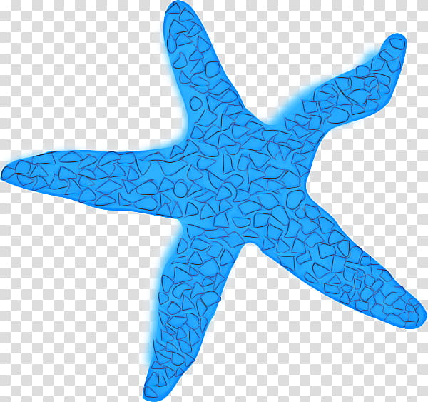 Fish, Starfish, Marine Biology, Marine Mammal, Echinoderm, Turquoise, Blue, Aqua transparent background PNG clipart