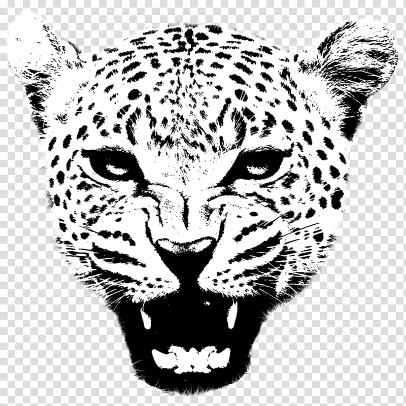 Balam [jaguar] transparent background PNG clipart