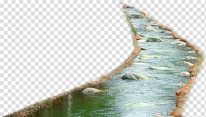 Cartoon Nature, River, Lake, Stream, Sea, Leaf, Plant transparent background PNG clipart