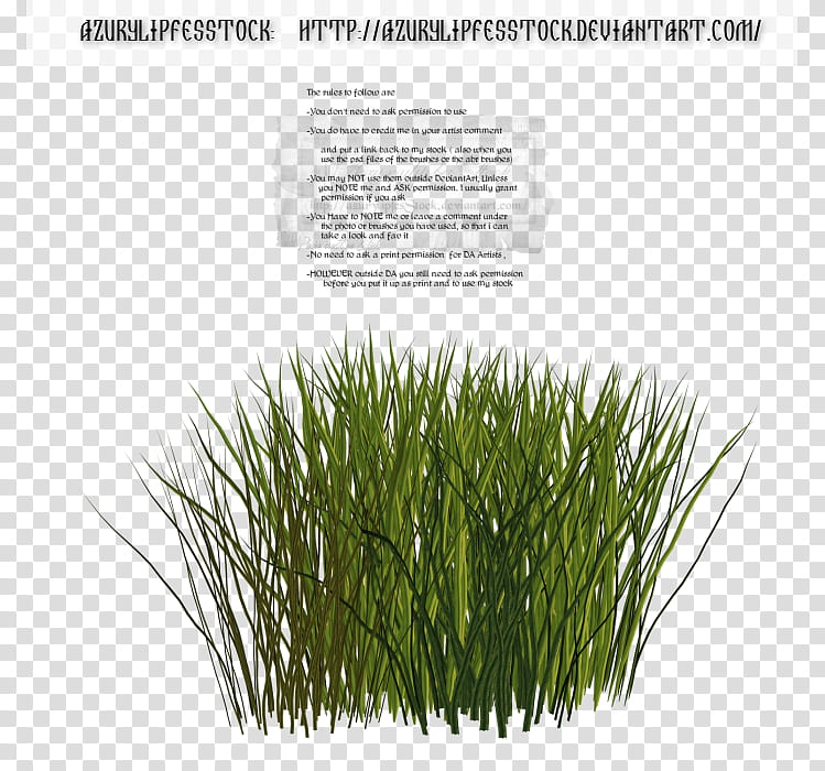 D object grass, green grass illustration transparent background PNG clipart