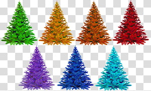 Christmas tree, Shortleaf Black Spruce, Colorado Spruce, Oregon Pine, Plant, Biome, Christmas Decoration, American Larch transparent background PNG clipart thumbnail