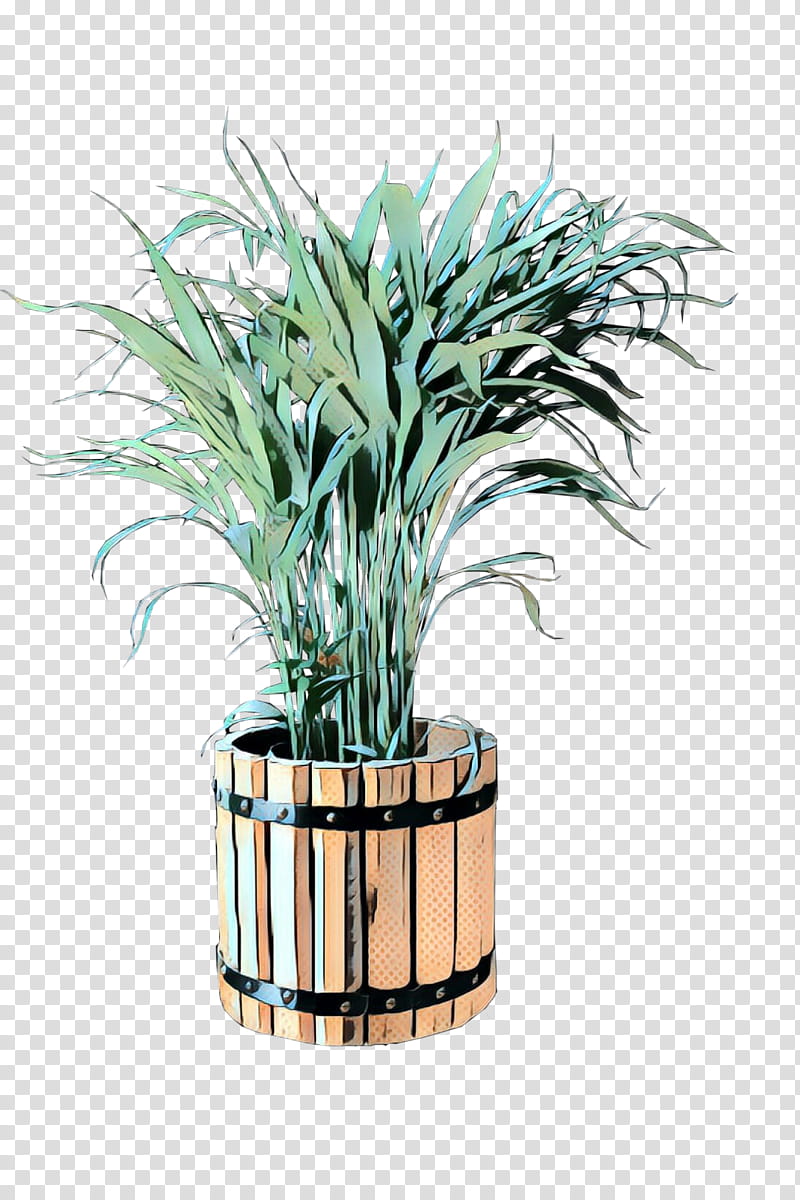 Palm Tree, Flowerpot, Houseplant, Grass, Yucca, Arecales, Vase, Herb transparent background PNG clipart