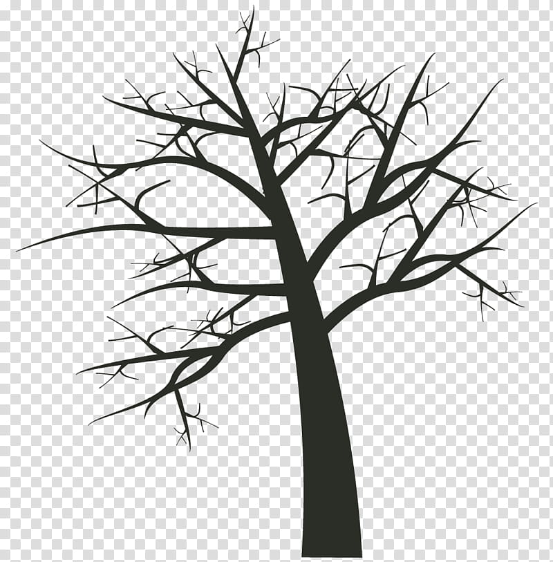 Tree Trunk Drawing, Silhouette, Line Art, Plants, Tutorial, Branch, Twig, Woody Plant transparent background PNG clipart