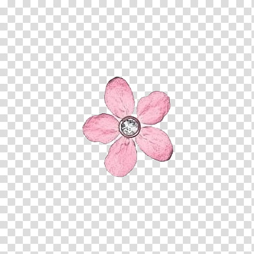 PINK AESTHETIC S, pink petaled flower ring transparent background PNG clipart