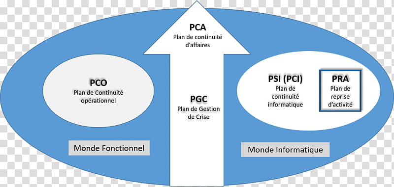 Paris Text, Organization, Mysql, Diagram, Database, Web Developer, Database Administrator, Area transparent background PNG clipart