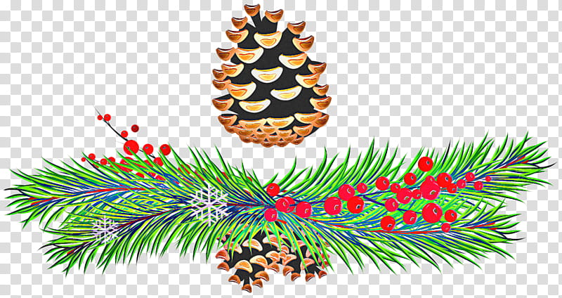 Christmas Black And White, Fir, Spruce, Christmas Ornament, Conifer Cone, Pine, Conifers, Christmas Day transparent background PNG clipart