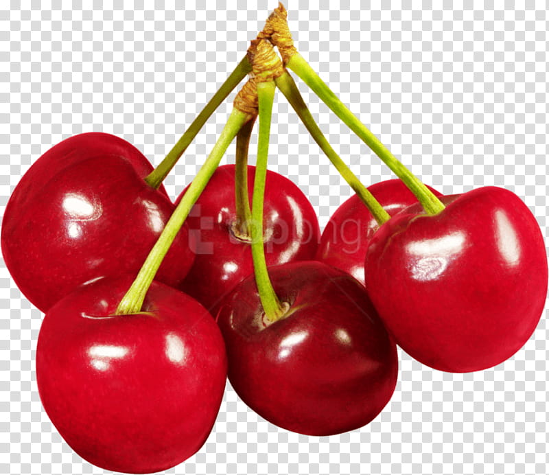 Family Tree, Barbados Cherry, Cherries, Fruit, Berries, Food, Cherry Pie, Clausena Lansium transparent background PNG clipart