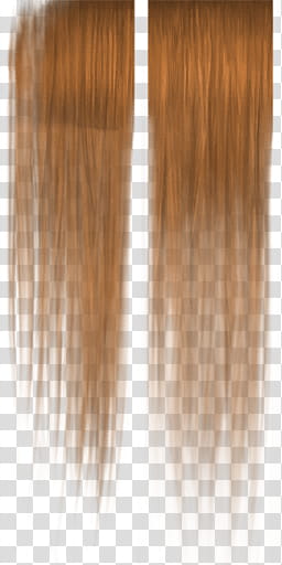 Human Isoldamon Svetlana, brown wig transparent background PNG clipart