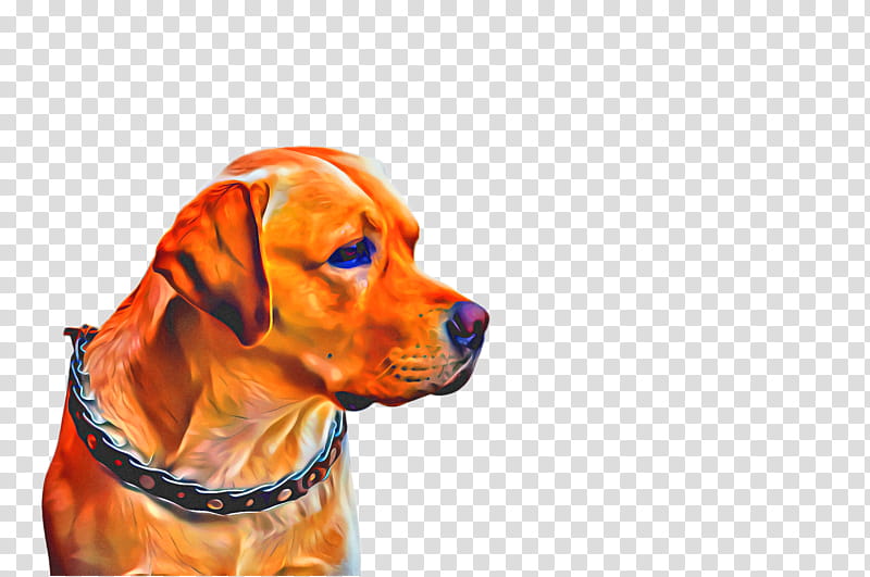 Cute Dog, Pet, Animal, Dog Breed, Vizsla, Redbone Coonhound, Companion Dog, Black And Tan Coonhound transparent background PNG clipart